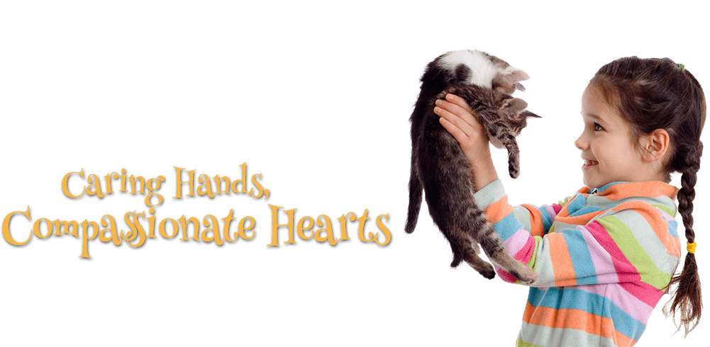 Caring Hands, Compassionate Hearts