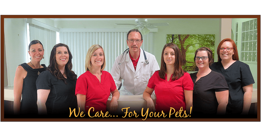 We Care... For Your Pets!