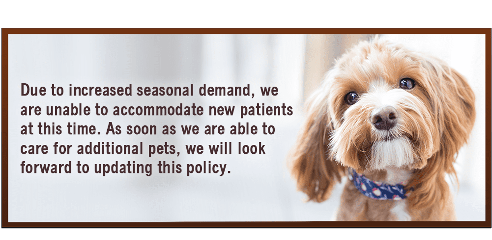 Due to increased seasonal demand, we are unable to accommodate new patients at this time. As soon as we are able to care for additional pets, we will look forward to updating this policy.