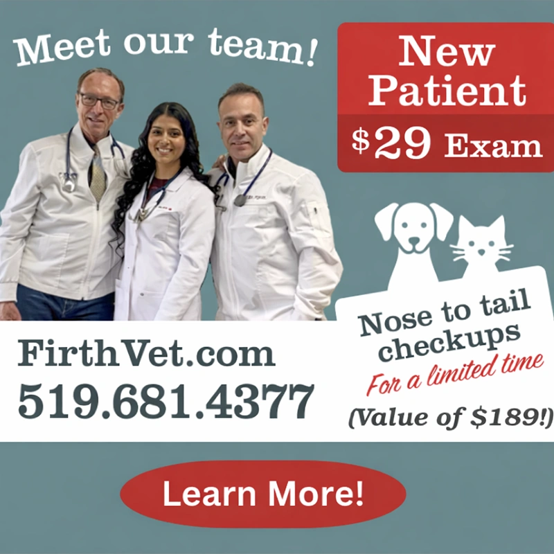 Special Offer! New Patient $29 Exam (Value of $189)!