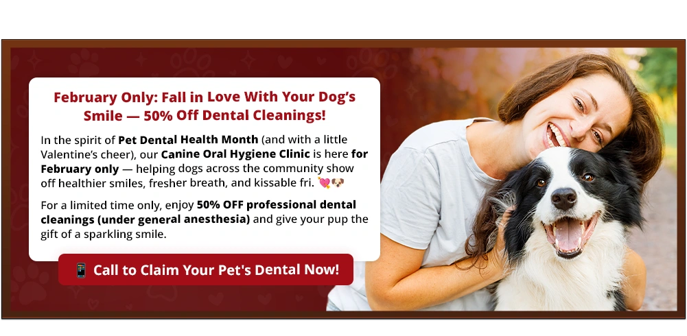 February Only: Fall in Love With Your Dog’s Smile — 50% Off Dental Cleanings!