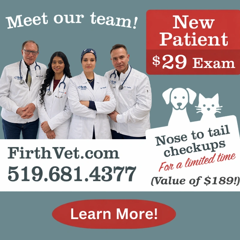 Special Offer! New Patient $29 Exam (Value of $189)!
