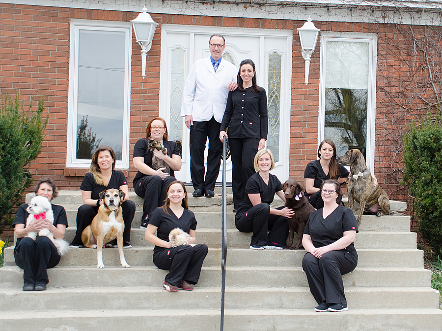 Welcome to Firth Veterinary Hospital!